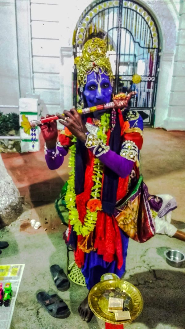 De quelle manière les produits Ladybel's pour animaux de compagnie peuvent-ils métamorphoser votre animal de compagnie ?