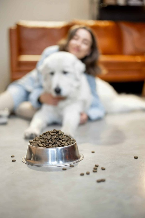 Croquettes pour chien Ownat : alliées de sa santé