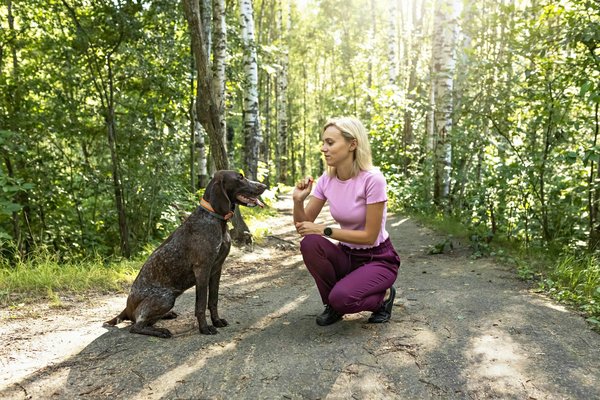 Formez votre chien à Paris avec des pros de la positivité
