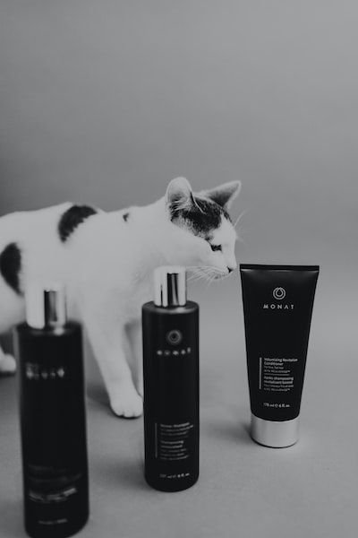 Laver un chat avec du shampoing pour humain : est ce que c'est possible ?